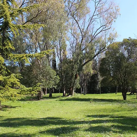 - Le Parc Grand Studio Calme Absolu Апартаменты